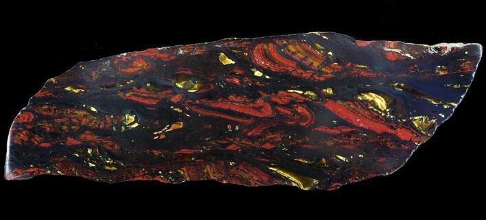 Polished Tiger Iron Stromatolite - ( Billion Years) #65542